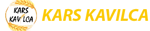 Kars Kavılca | Hümeyra Hanım BAKİ
